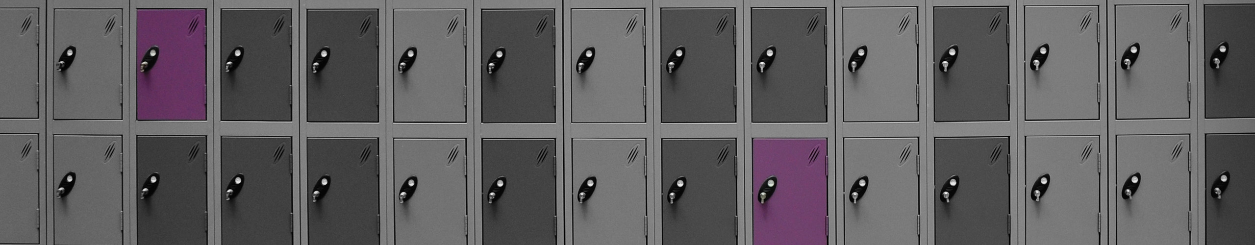 Probe-Multi-Door-Lockers