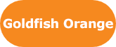 goldfish_orange_product_colour